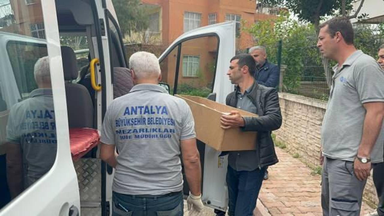 Antalya'da yangın faciası: 2 aylık bebek yaşamını yitirdi
