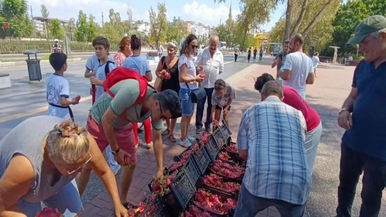 Aracılara kızdı tanesi 5 Euro olan meyveyi ücretsiz dağıttı