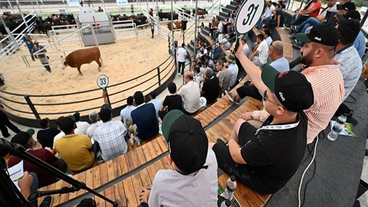 Aracılık masraflarını ortadan kaldıran mezat!