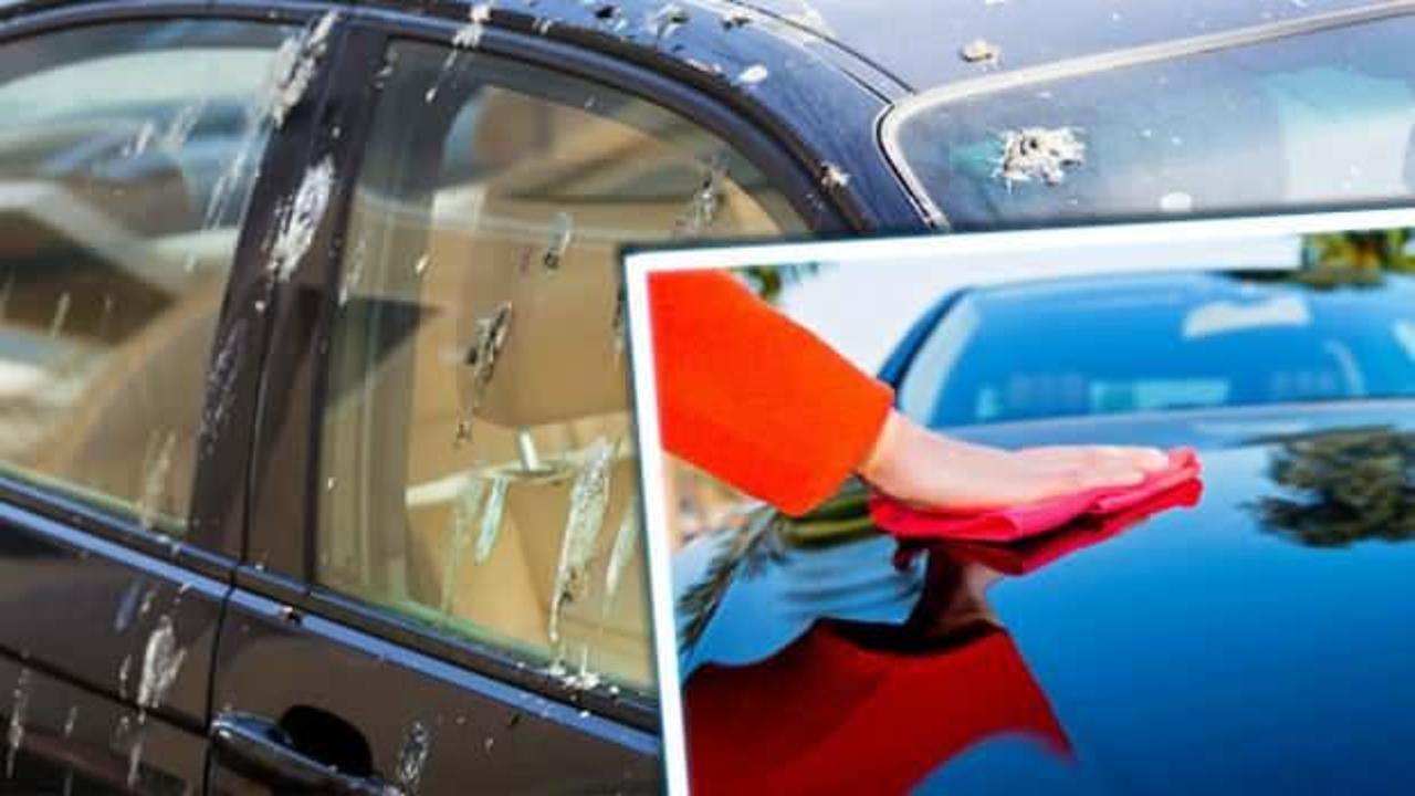 Aracınızın düşmanıyla savaşın: Arabadan kuş pisliği lekesi temizlemenin en kolay yolu