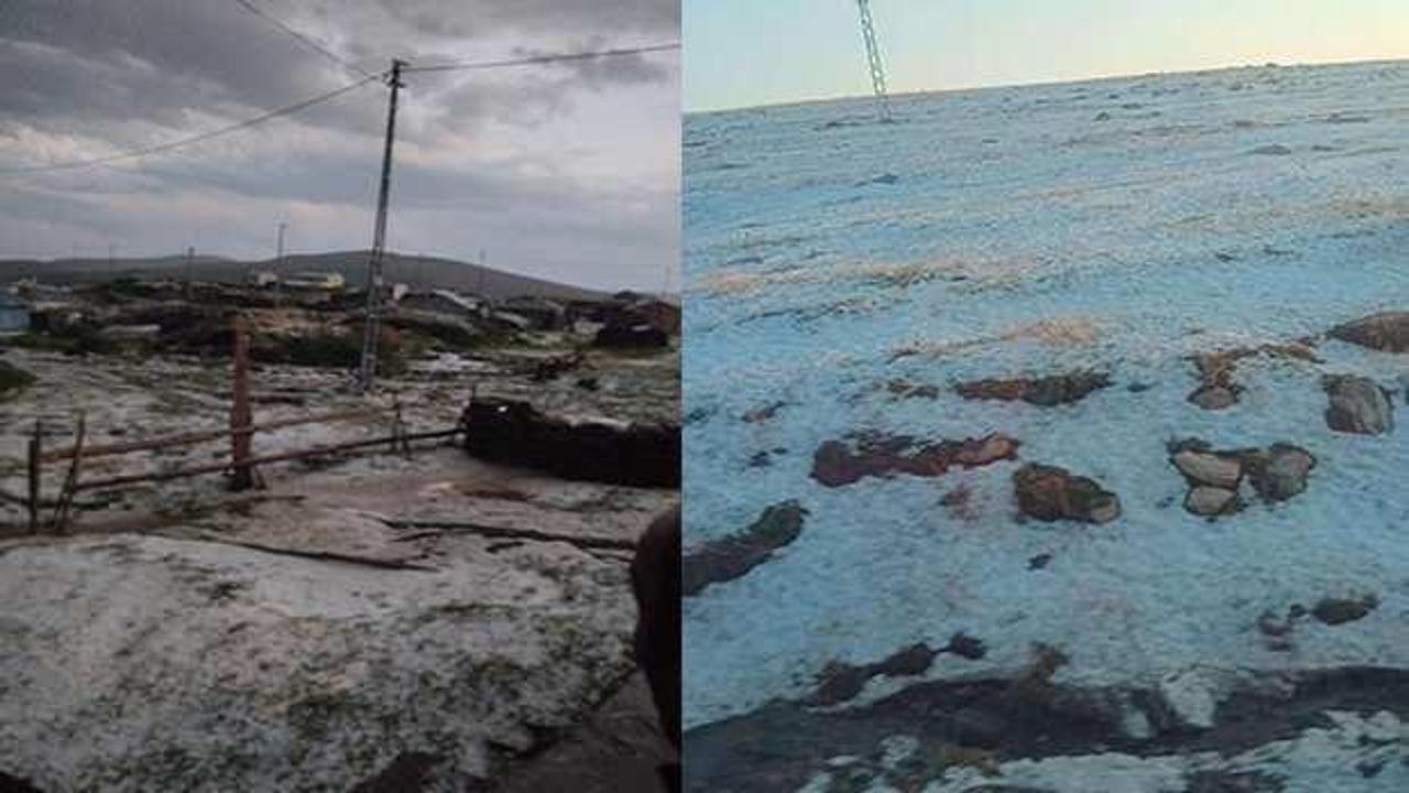 Ardahan'da Ağustos ayında şaşırtan görüntü: Beyaza büründü!
