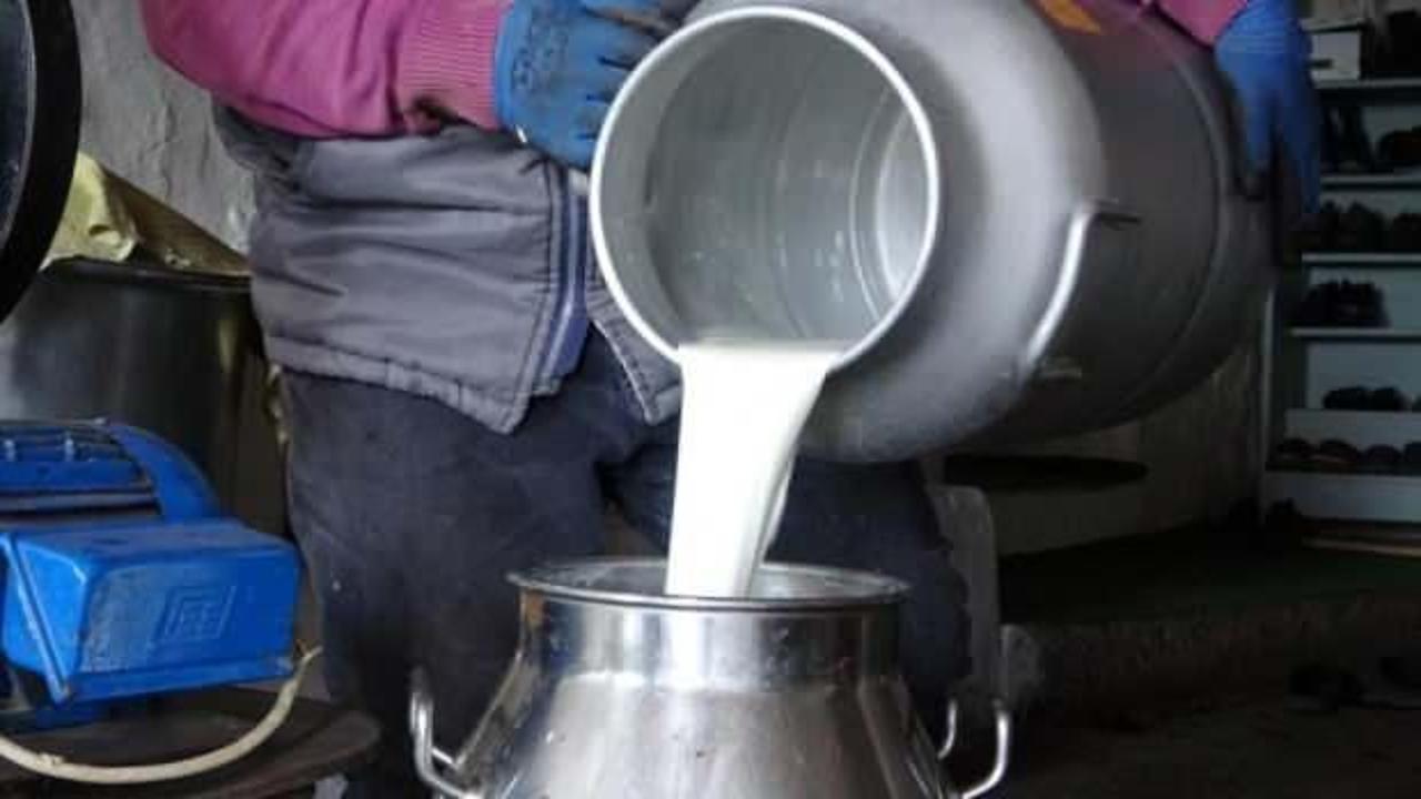 Ardahan'da süt üreticileri düşük fiyatlardan şikâyetçi