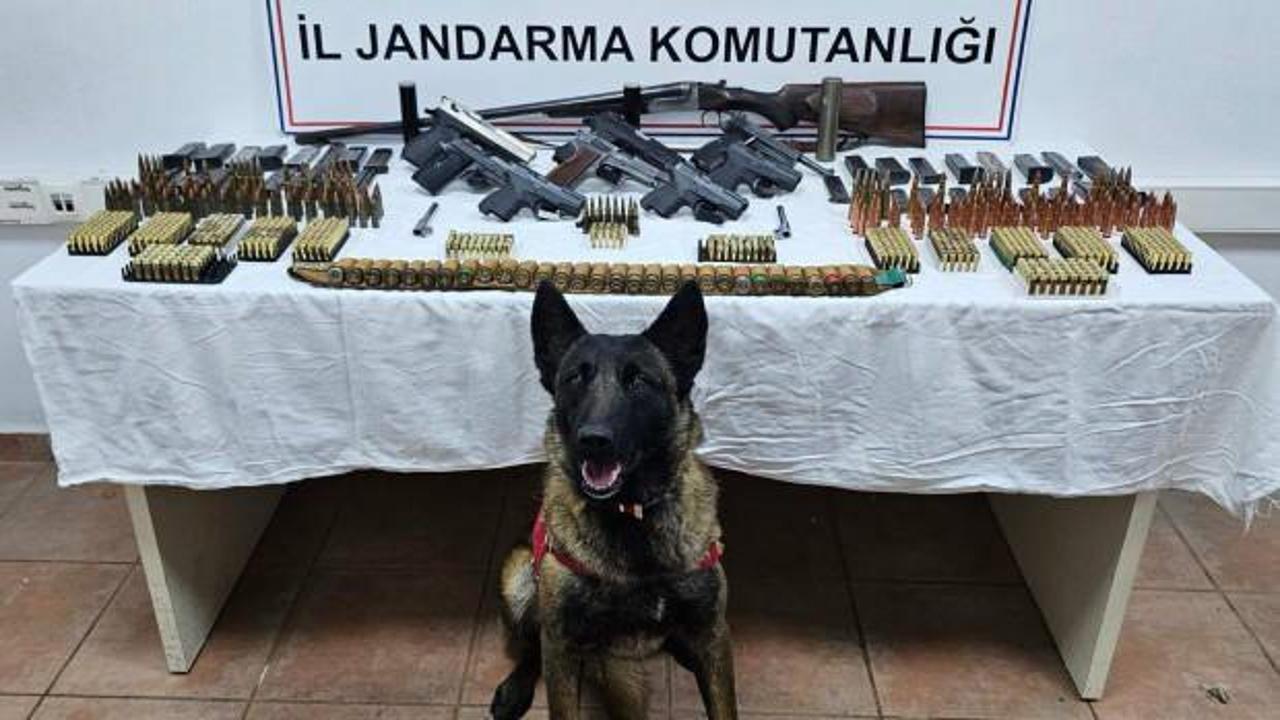 Arı kovanlarından kaçak silah çıktı: 2 gözaltı