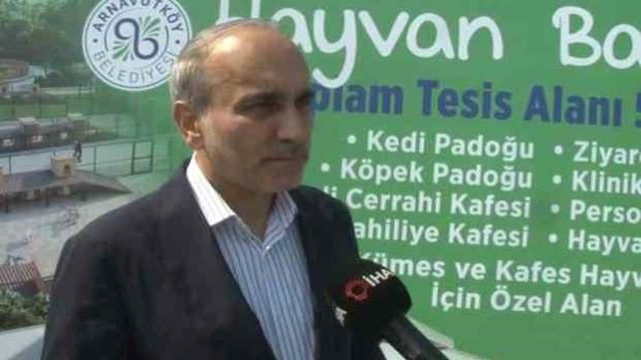 Arnavutköy’de sokak hayvanları için dev proje: 51 bin 500 metrekare olacak