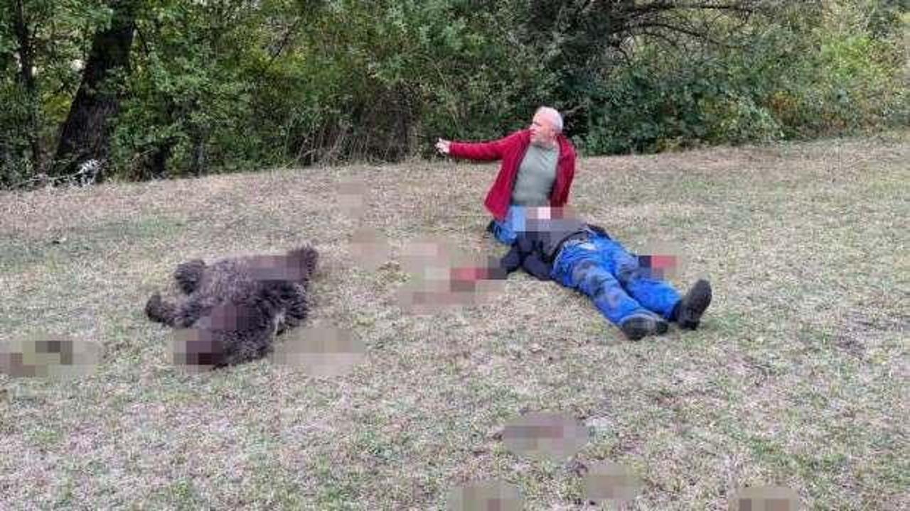 Artvin'de feci olay! Yaşlı adamı, ayının elinden komşuları aldı