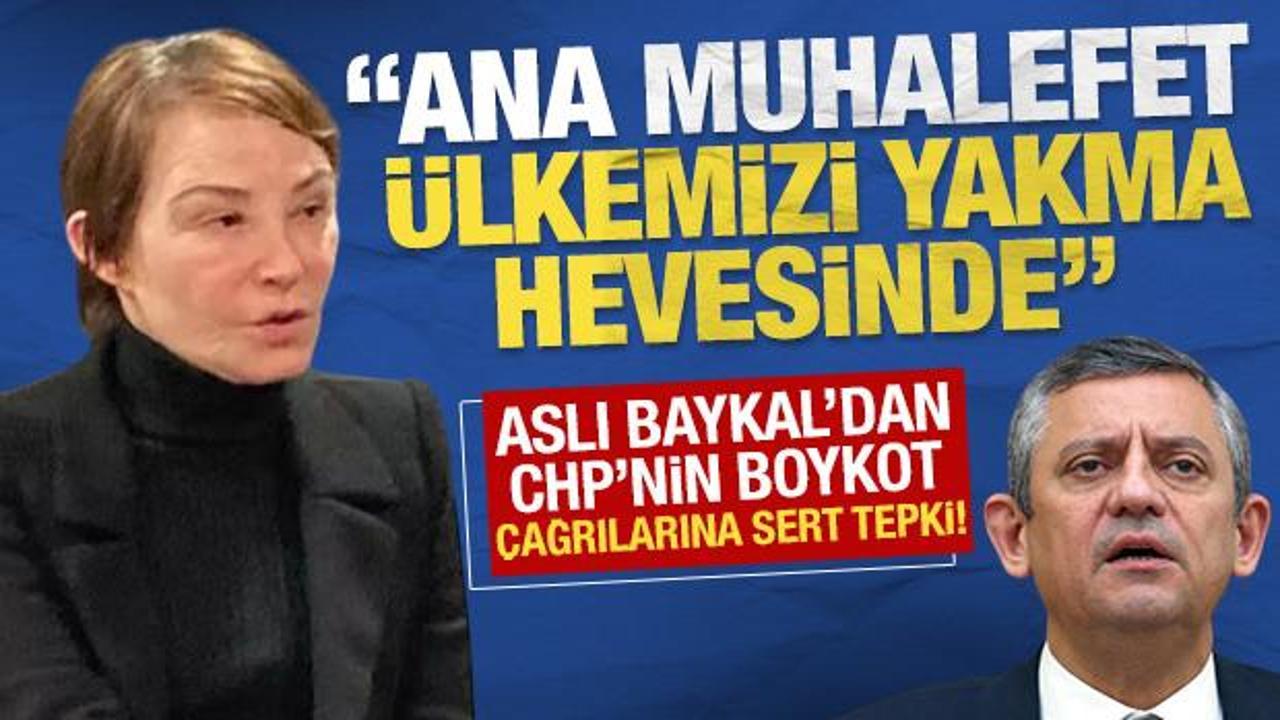 Aslı Baykal'dan CHP'nin boykot çağrılarına sert tepki!
