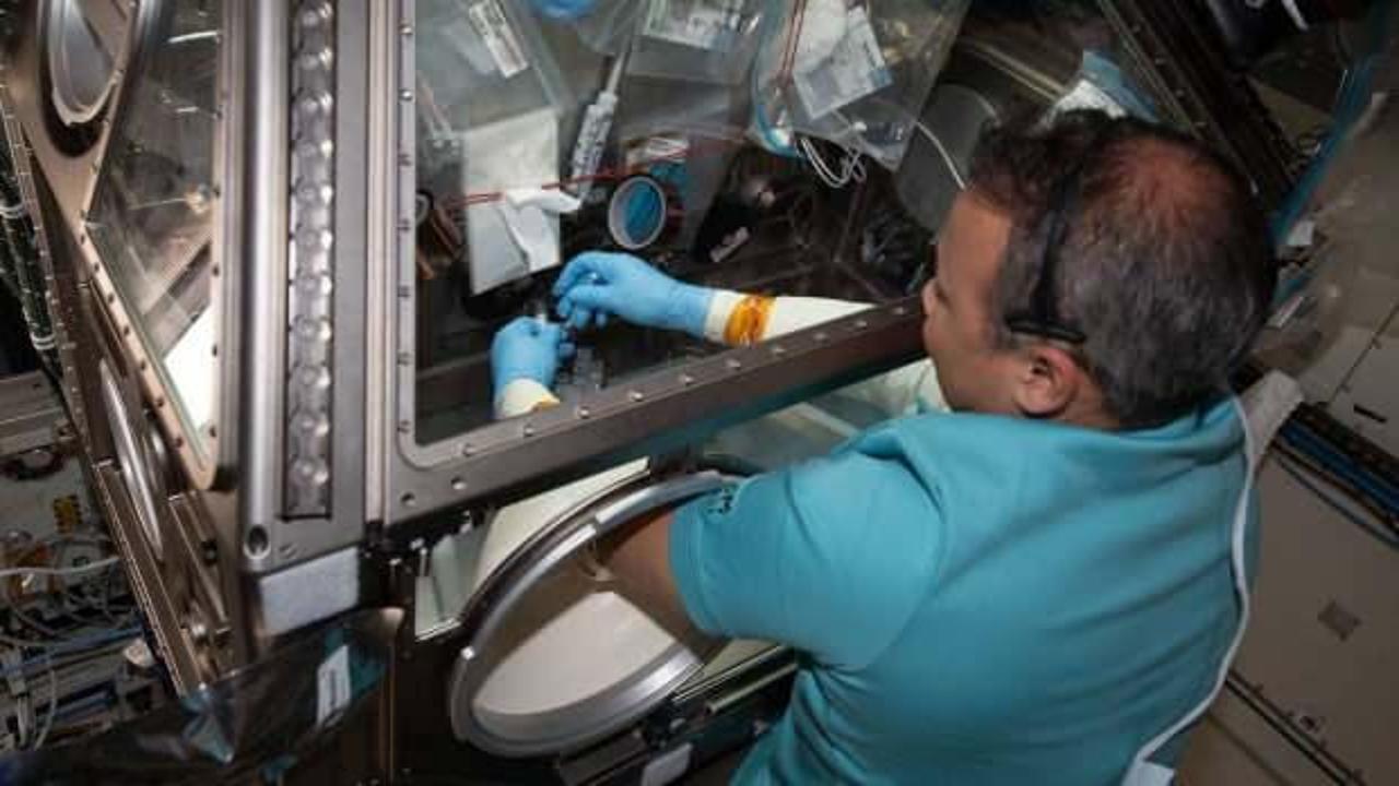 Astronot Gezeravcı uzaydaki 10. deneyini yapacak: 