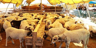 ATAŞEHİR BELEDİYESİ KURBAN BAYRAMI İÇİN TÜM HAZIRLIKLARINI TAMAMLADI