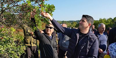 Ataşehir'de “Biriz, Birlikteyiz” Coşkusuyla Geleneksel Dağ Çileği Festivali