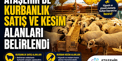 güne bakış haber