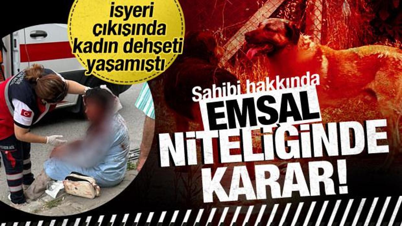 Ataşehir'de kadına saldıran köpeğin sahibi tutuklandı