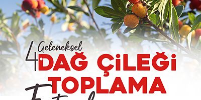 ATAŞEHİRLİLER DÖRDÜNCÜ KEZ DAĞ ÇİLEĞİ FESTİVALİ'NDE BULUŞUYOR