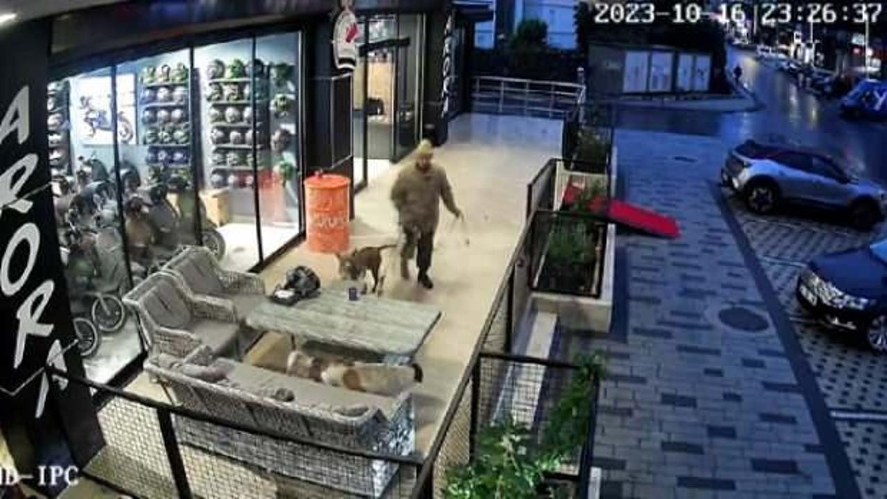 Avcılar'da pitbullu bıçaklı saldırgana gözaltı