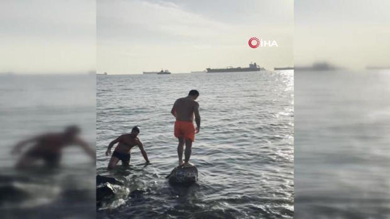 Avcılar’da soğuk havada denize girdiler
