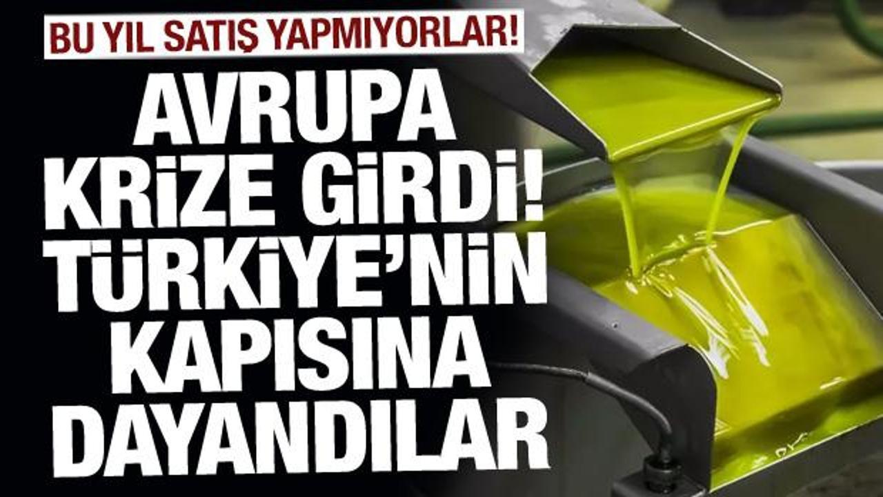 Avrupa krize girdi, Türkiye'nin kapısına dayandılar! Bu yıl satış yapmıyorlar