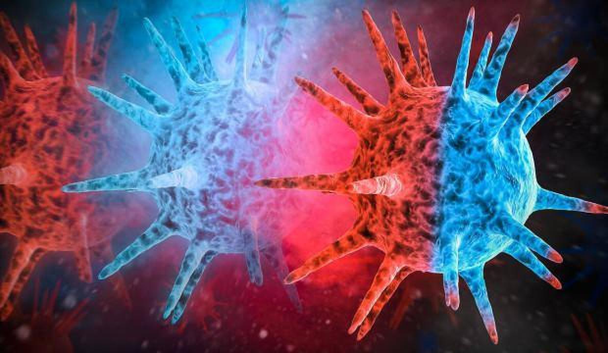 Avustralya’da yeni salgın alarmı: JEV virüsü 2 can aldı