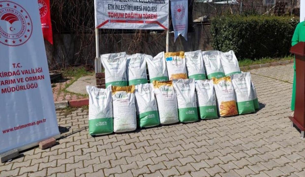 Ayçiçeği ithalatına karşı bakanlıktan yerli tohum atağı!