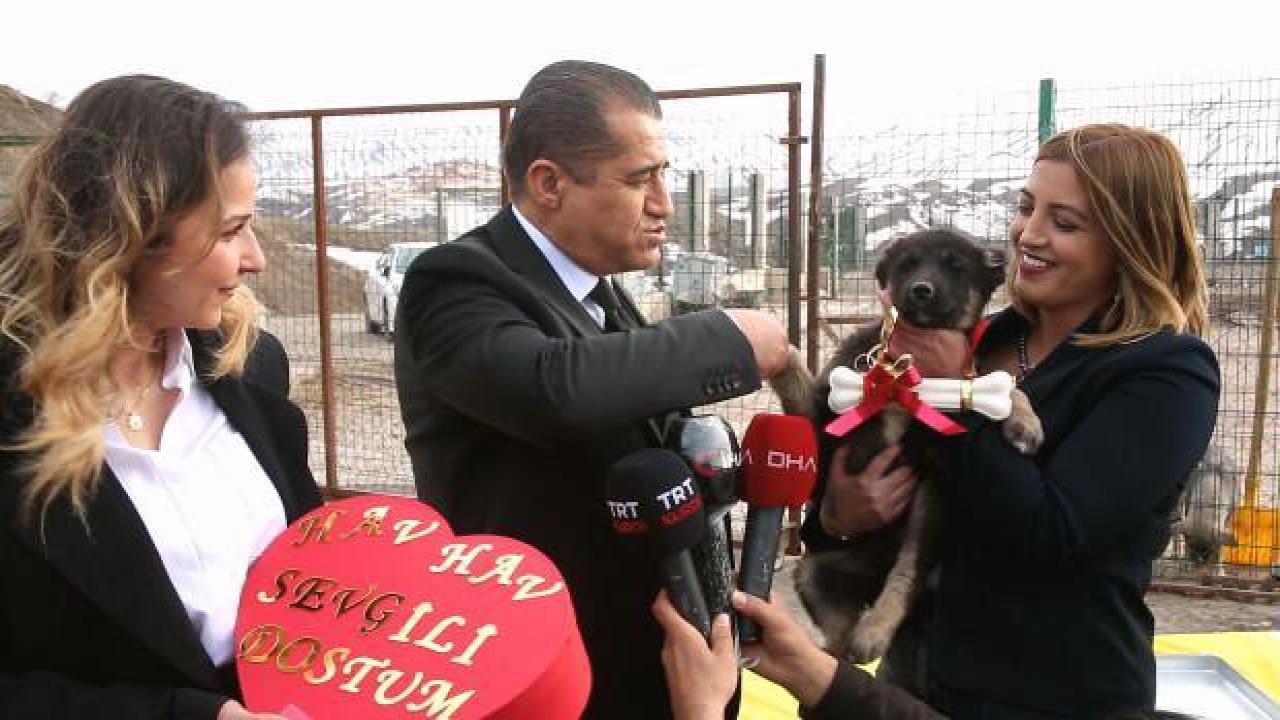 Aydın Aydın köpeklere türkü yaptı, madalya takarak vefa borcunu ödedi