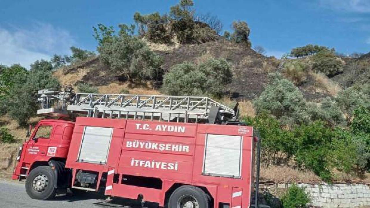 Aydın’da korkutan yangın büyümeden söndürüldü