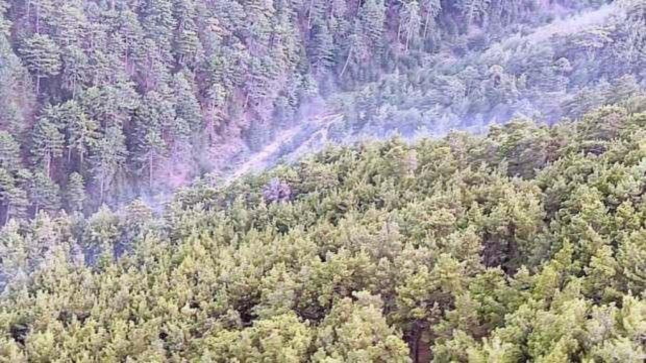 Aydın’daki orman yangını söndürüldü