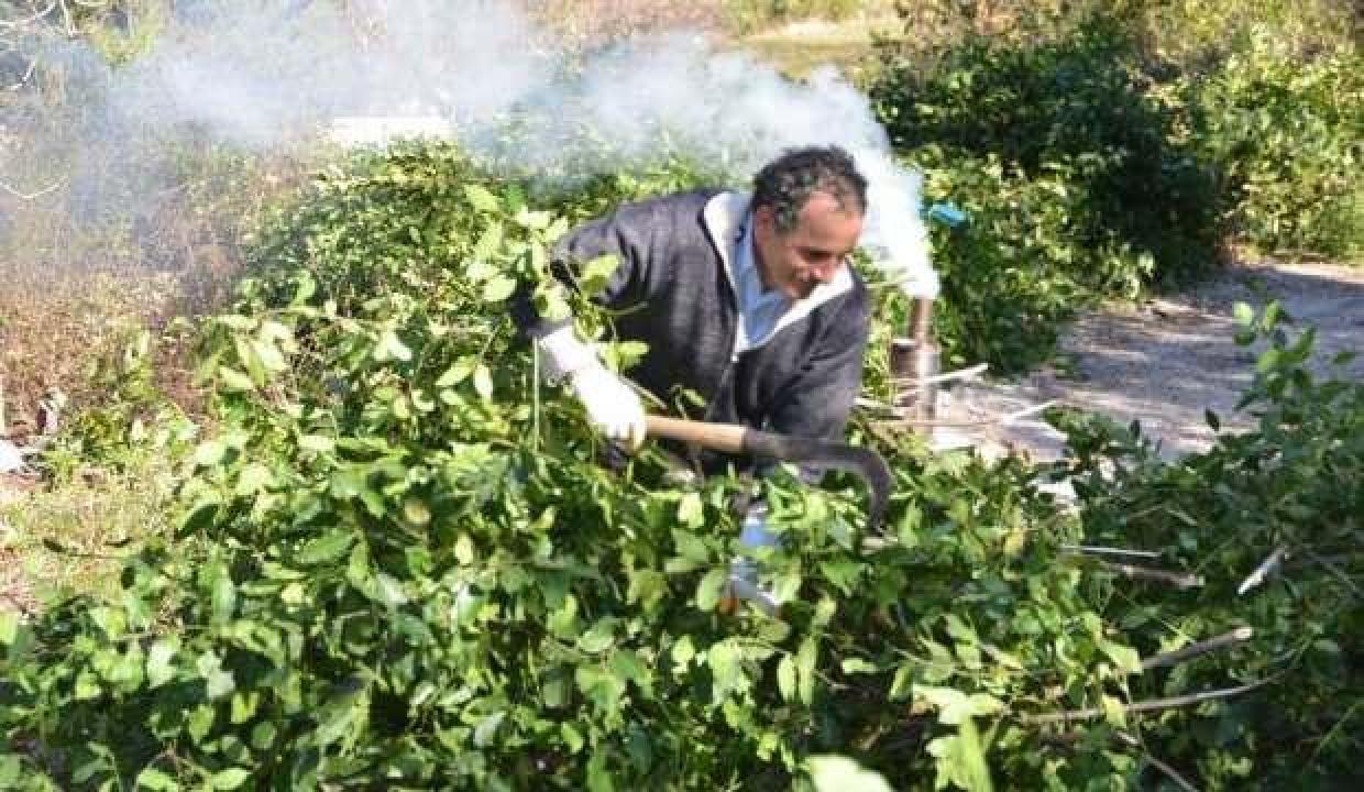 Aylık 25 bin TL kazanıyorlar paraya para demiyorlar!