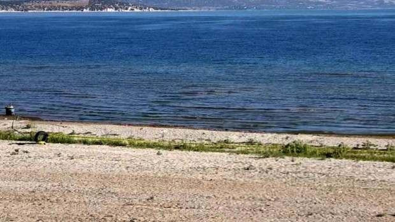 Aynı noktada dördüncü kez el bombaları bulundu
