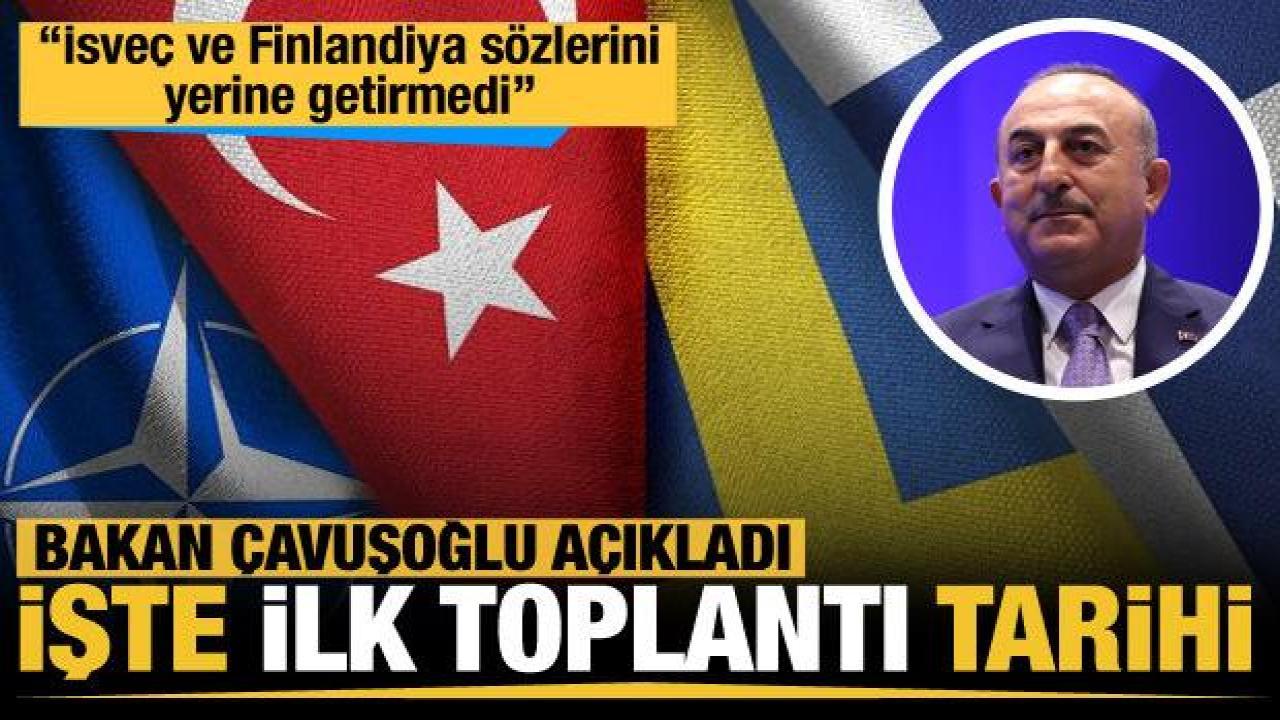 Bakan Çavuşoğlu'ndan İsveç ve Finlandiya açıklaması: Ağustos ayını teklif ettiler