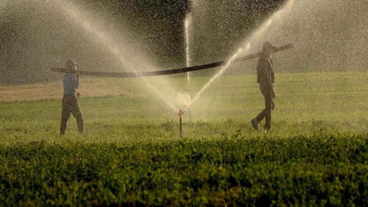 Bakan Nebati'den çiftçilere müjde