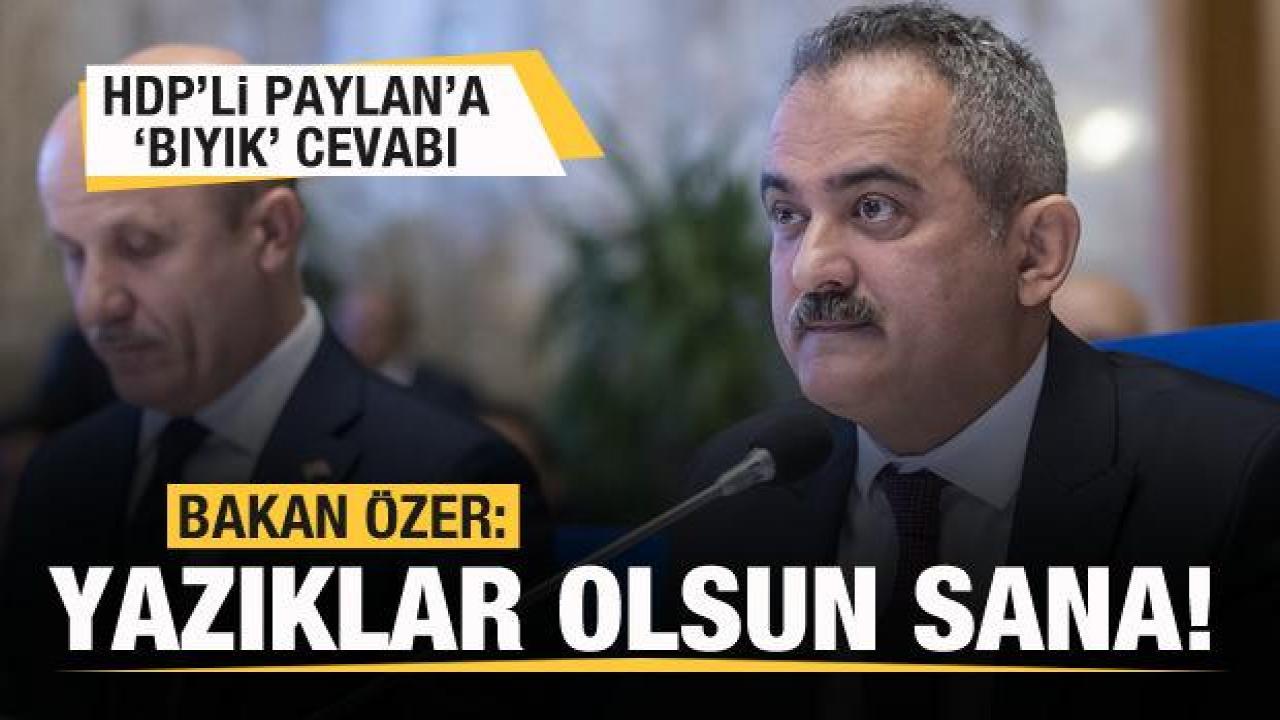 Bakan Özer’den HDP’li Paylan’a 'bıyık' cevabı: Yazıklar olsun sana