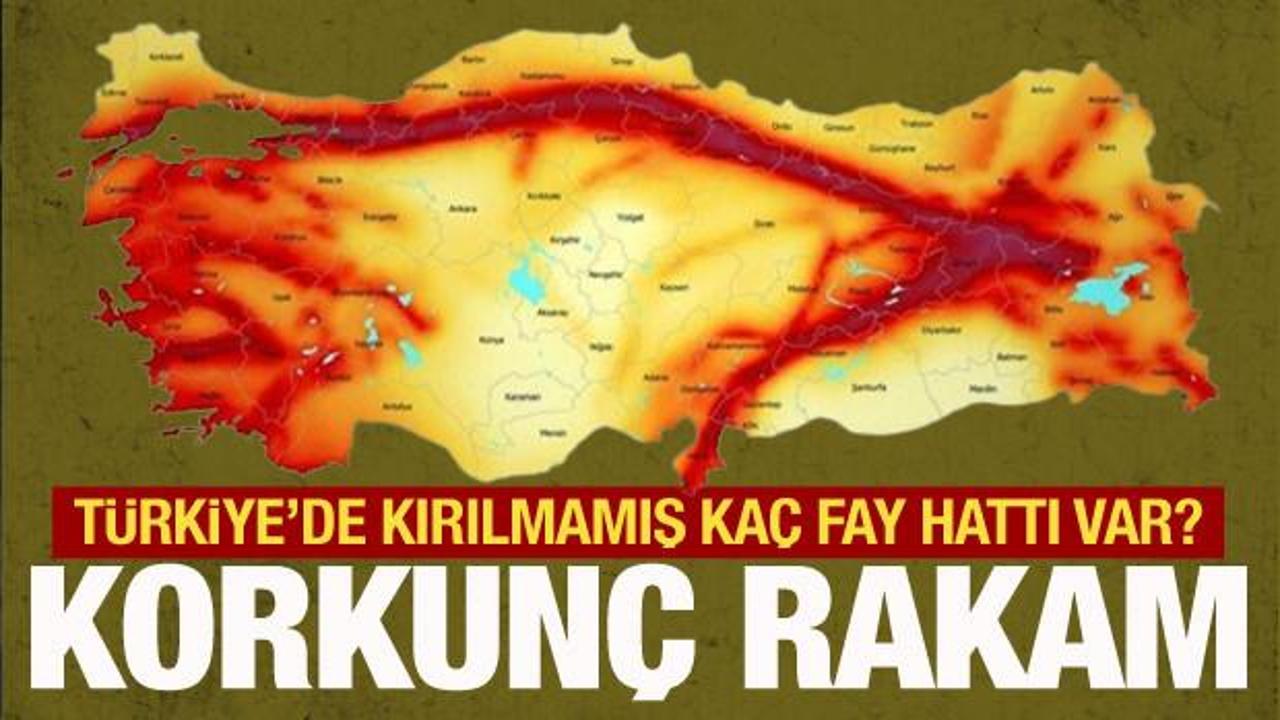 Bakan Özhaseki: 500'e yakın kırılmamış fay hattı var ülkemizde