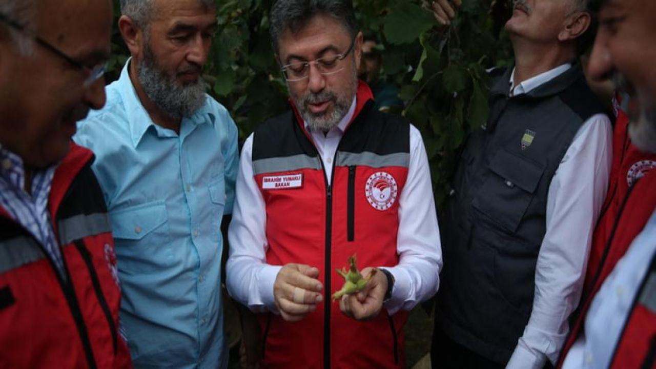 Bakan Yumaklı'dan fındık fiyatlarına ilişkin açıklama