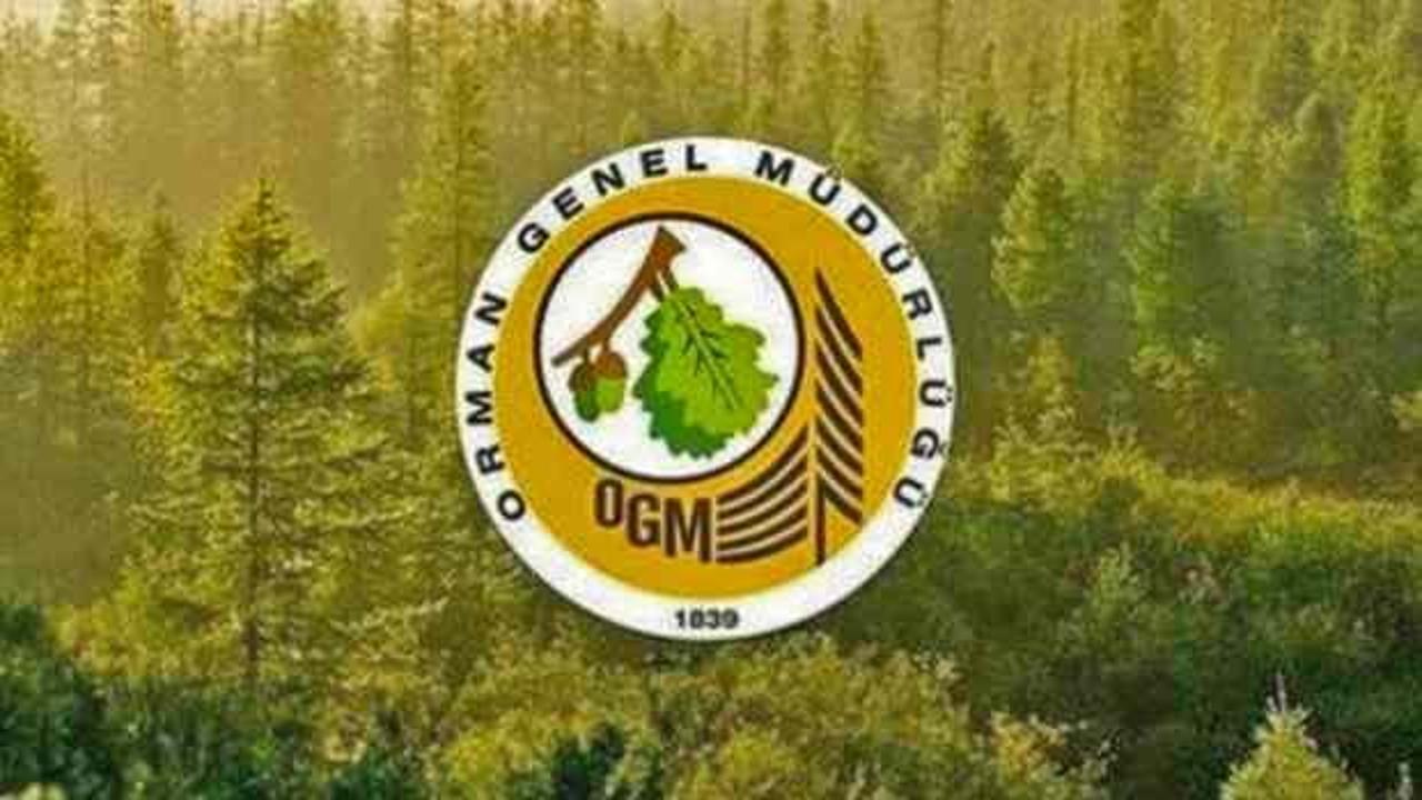 Bakanlık 3477 personel alıyor: Yazılı-sözlü sınav yok! İşte, başvuru tarihleri ve şartları