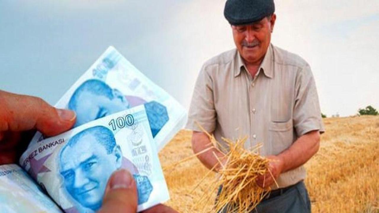 Bakanlık duyurdu! Çiftçilere müjde, hesaplara yatırıldı