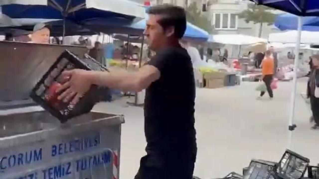 Bakanlık harekete geçti! Kasa kasa domatesi çöpe döktü! Milyonlarca liralık ceza kapıda