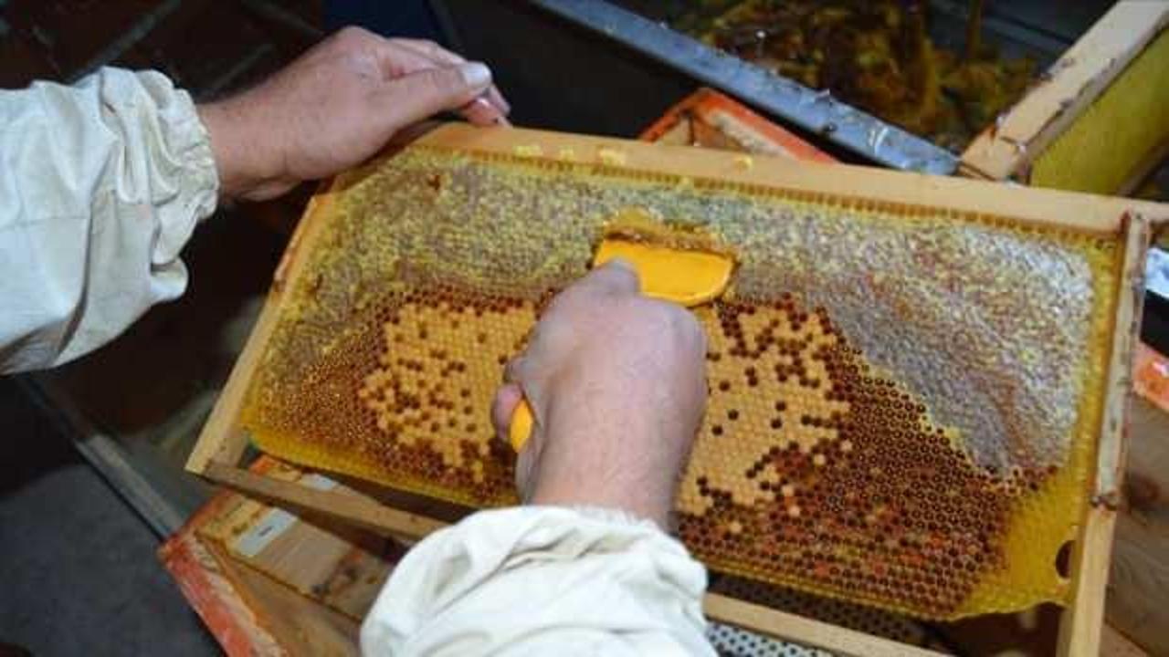 Bakanlık listeyi paylaştı! Bal diye halka bakın ne yedirmişler...