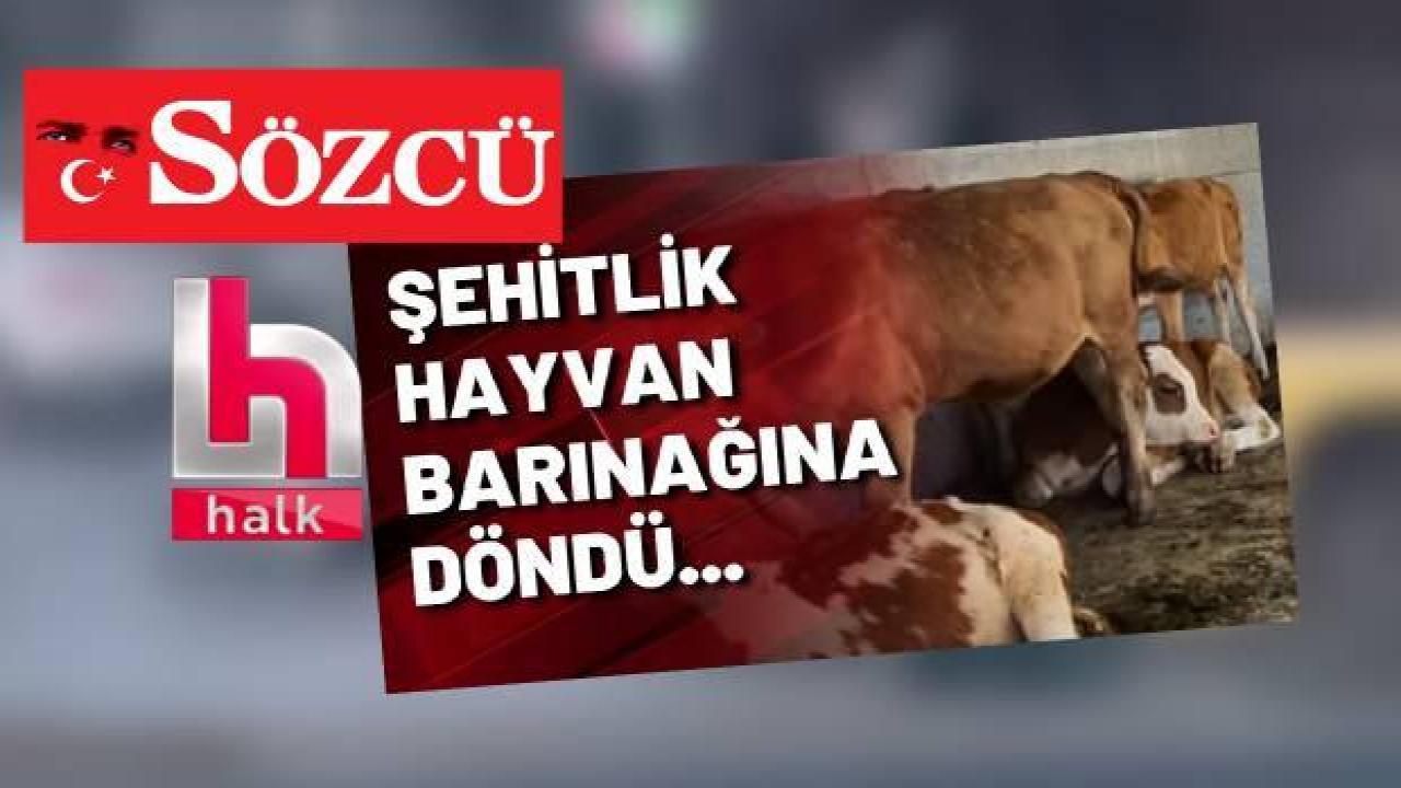 Bakanlıktan Sözcü ve Halk TV'nin “Sarıkamış Şehitliği'ni ahıra çevirdiler
