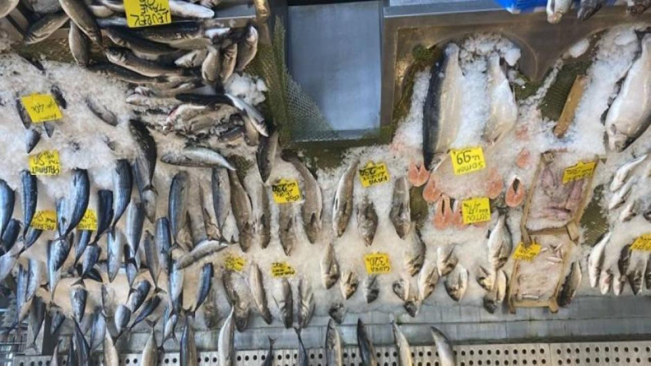 Balık fiyatlarında düşüş: Vatandaş Karadeniz somonu ve yerli palamutu tercih etti