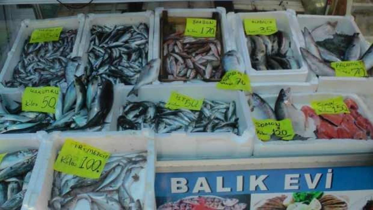 Balıkçılar sezonunu kapatıyor