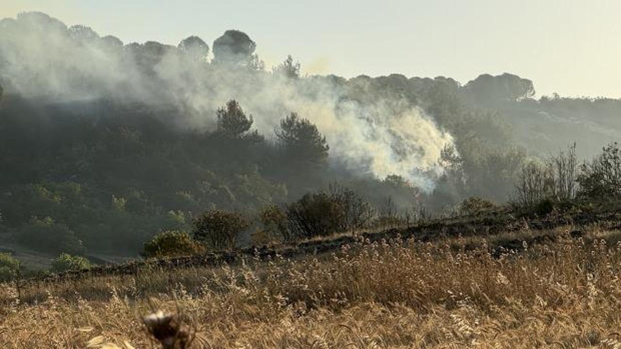 Balıkesir'de anızda başlayıp ağaçlandırma sahasına sıçrayan yangına müdahale ediliyor