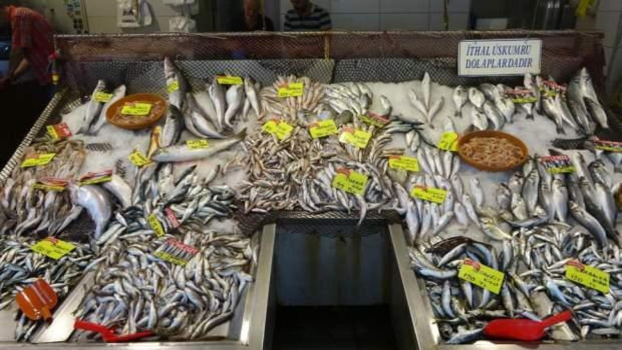 Balıkta bolluk yok, çeşitlilik çok