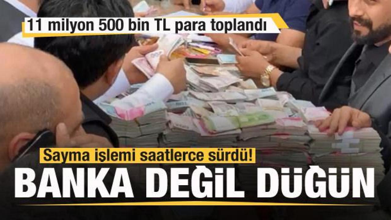 Banka değil düğün! 11 milyon 500 bin TL para toplandı
