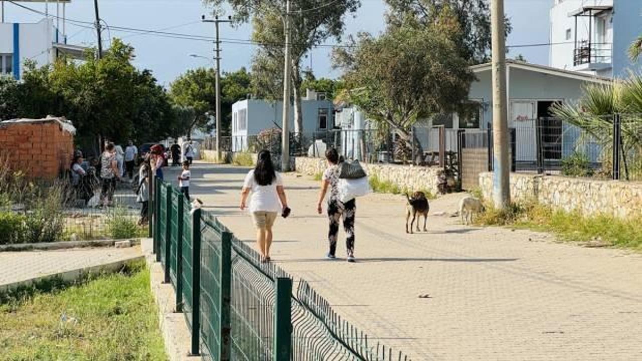 Başıboş köpeklerin saldırısına uğramıştı: 7 yaşındaki Duru evden çıkamıyor