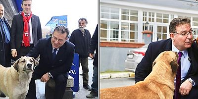 BAŞKAN AKSU'DAN ÇAĞRI: HAYVANLARI KORUMA KANUNU YETERSİZ, YENİ DÜZENLEMELER ŞART