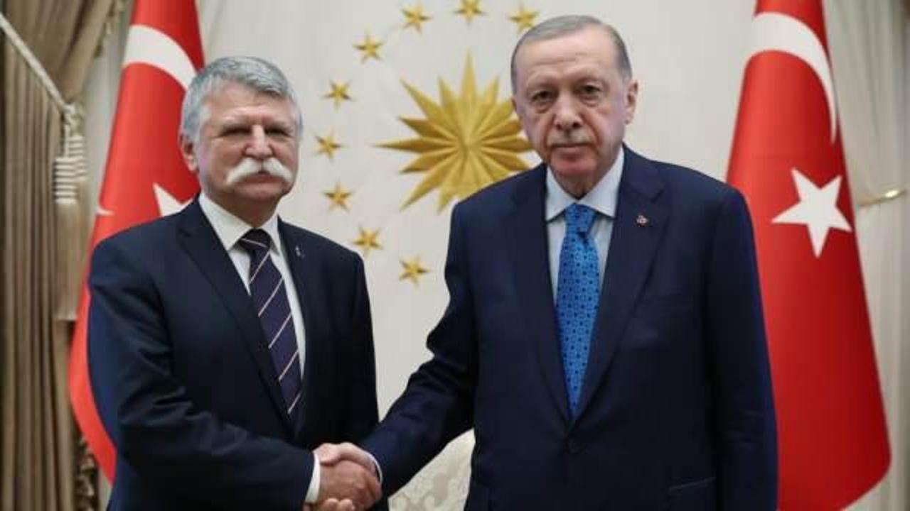 Başkan Erdoğan, Laszlo Köver'i kabul etti
