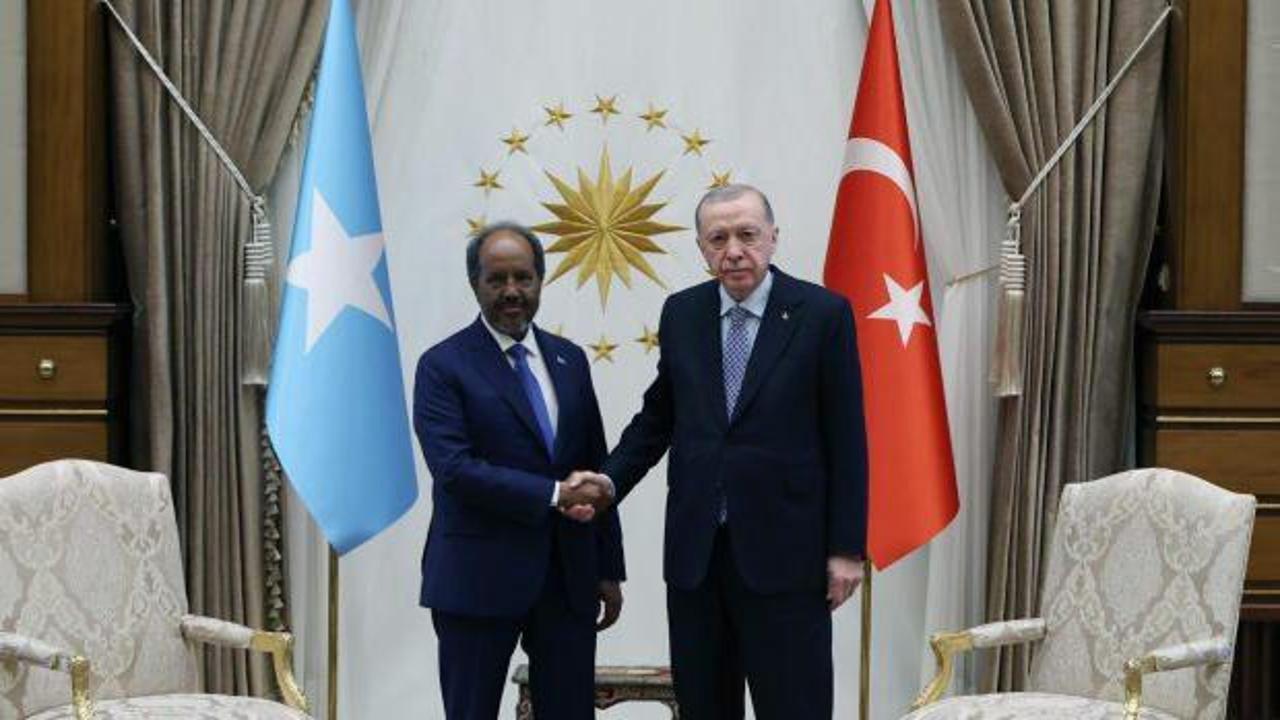 Başkan Erdoğan, Şeyh Mahmud ile görüştü