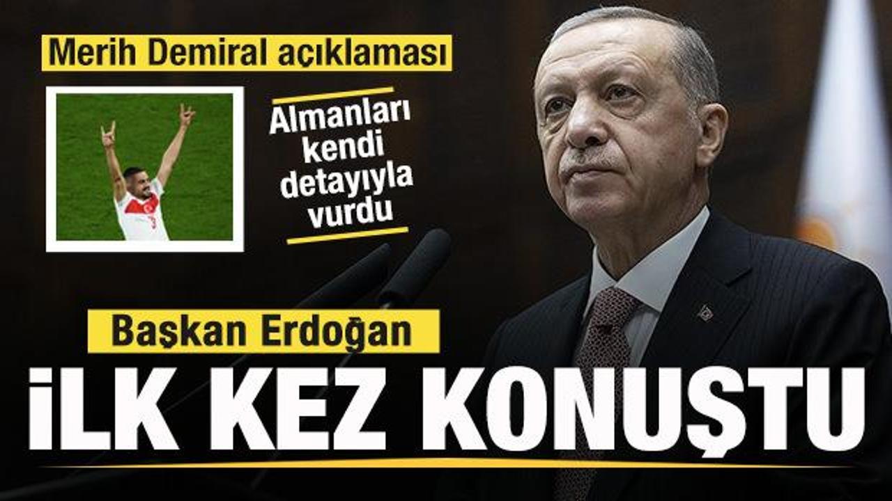 Başkan Erdoğan'dan bozkurt açıklaması! Merih Demiral hakkında ilk kez konuştu