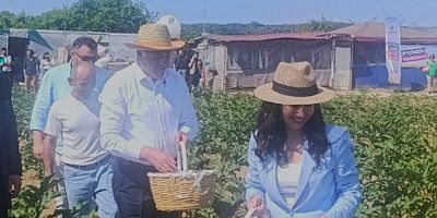 Başkan Vekili Nuri Aslan Hasat Tarlasındaydı: “Önceliğimiz Aile ve Tarım”