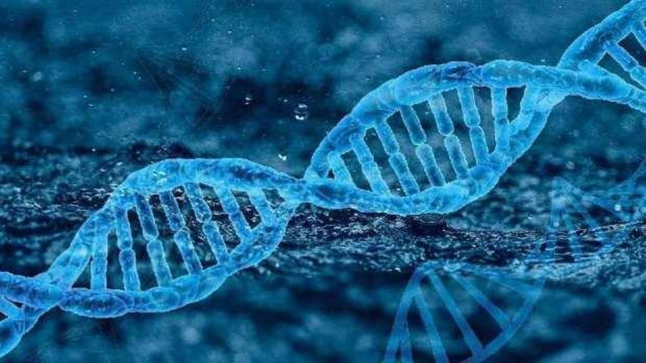 Bazı kişiler neden Covid'e yakalanmadı? Bilim adamları açıkladı...
