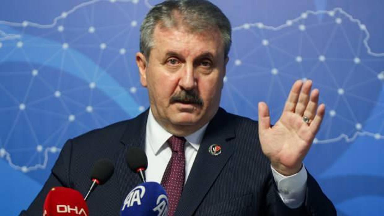 BBP Genel Başkanı Destici: Türkiye kuduz riski yüksek olan ülkeler arasında gösteriliyor