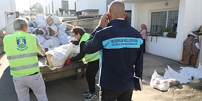 Belediyeden Vatandaşlara Yakacak Desteği